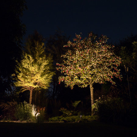 Autonomie Geurig site Bomen uitlichten met tuinspots. Hoe doe je dat? | Wellicht Buitenverlichting
